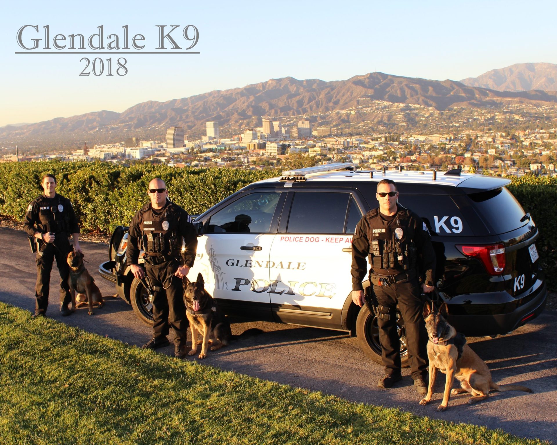 Glendale Police Department K9 Unit